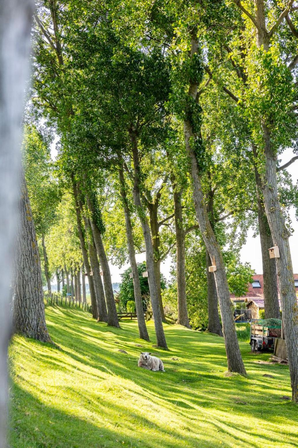 Holiday Home Polderzicht By Interhome Zuid-Beijerland Bagian luar foto